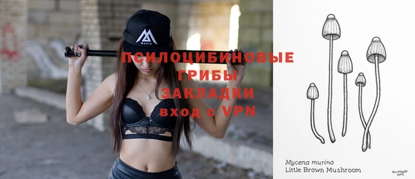 винт Алзамай