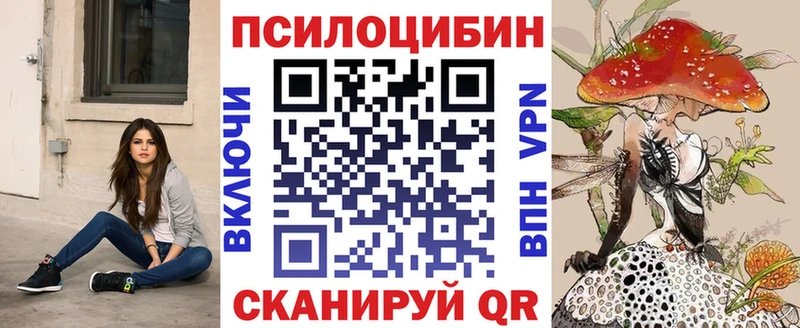 Псилоцибиновые грибы мицелий  купить наркотики сайты  KRAKEN ССЫЛКА  Устюжна 